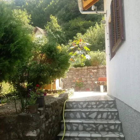 Djordjevici